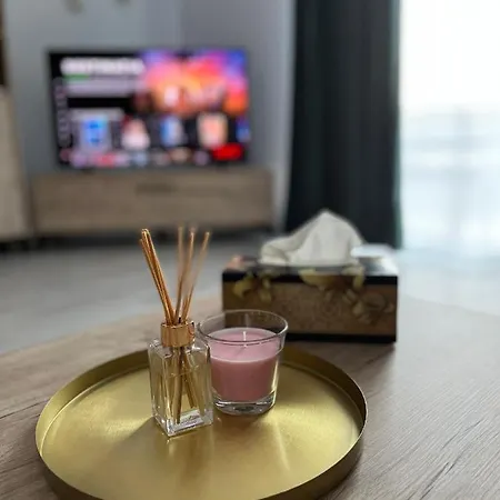 Apartament Modern Cu O Camera Apartment Timisoara