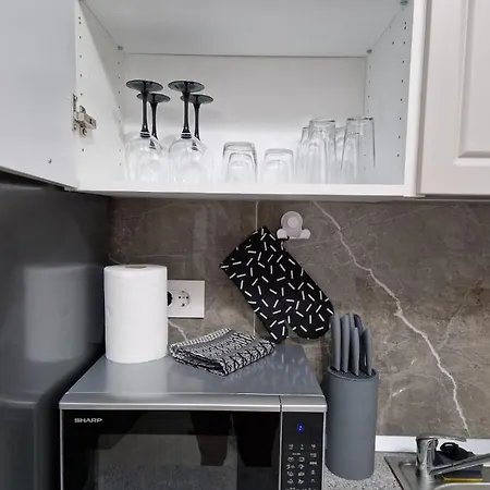 Apartament Modern Cu O Camera